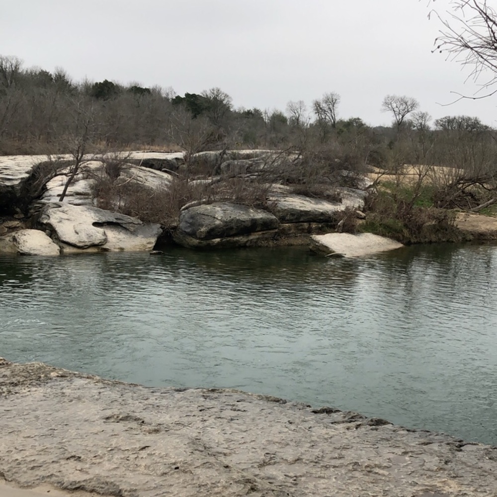 Meet your Posher, Reyna